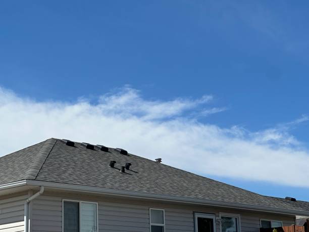 Roof Insulation Installation in Taft, TX